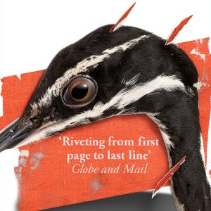 Birder Murder Mystery eBook by Point Blank Kindle Edition-0