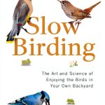 Bird Watching Guide Tarcher Kindle eBook-0